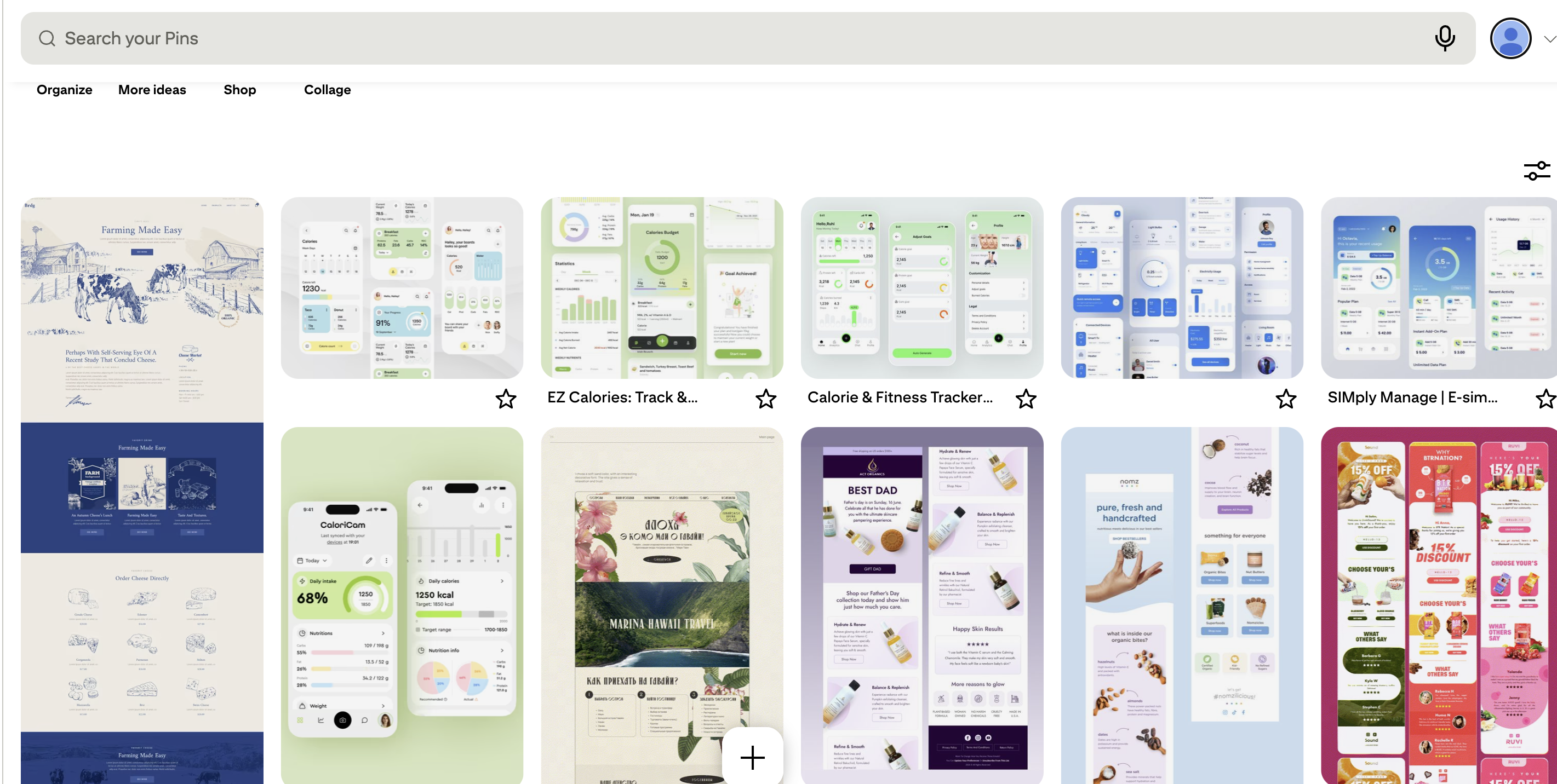 Here, I gathered inspiration from platforms like Pinterest and nutritional websites to shape early interaction ideas.